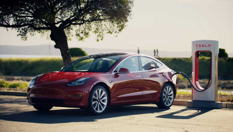 Nissan Leaf là chiếc lá; Tesla là cả mùa thu
