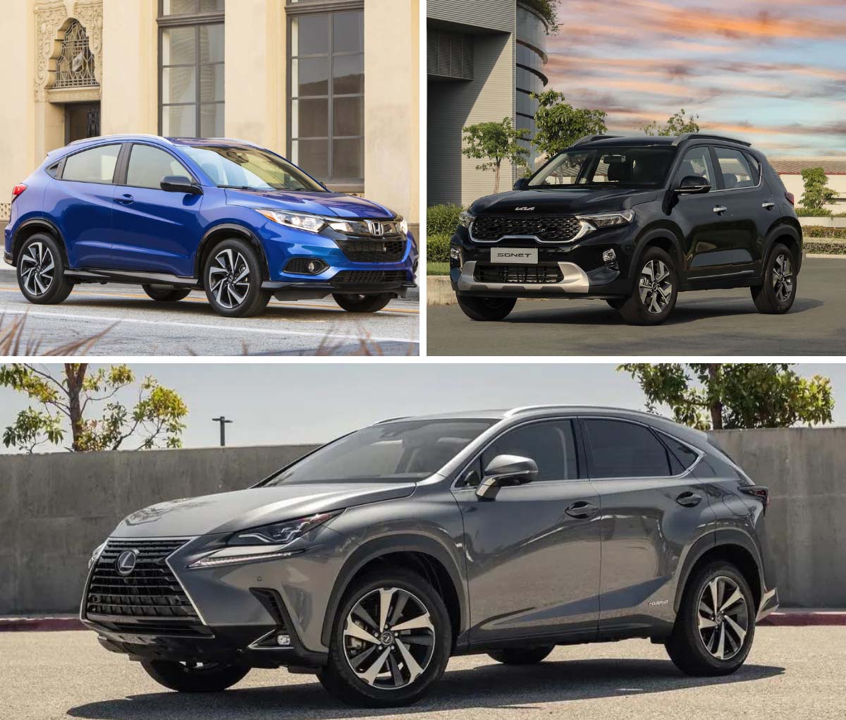 Crossover được nâng gầm cao hơn