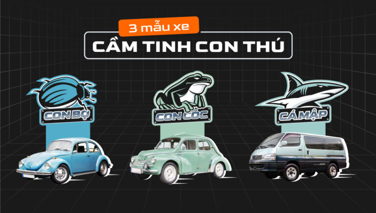 3 mẫu xe cầm tinh con thú: con bọ, con cóc và cá mập