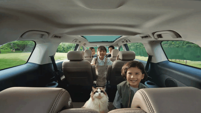 Ngay cả chú mèo cũng xác nhận BYD M6 êm như Kymdan