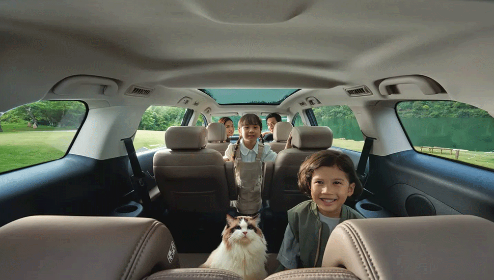 Ngay cả chú mèo cũng xác nhận BYD M6 êm như nệm Kymdan