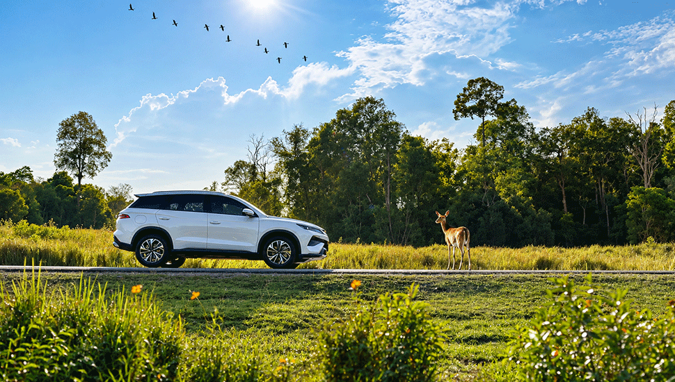 BYD Sealion 5: điện ra tiền tuyến, xăng về hậu phương