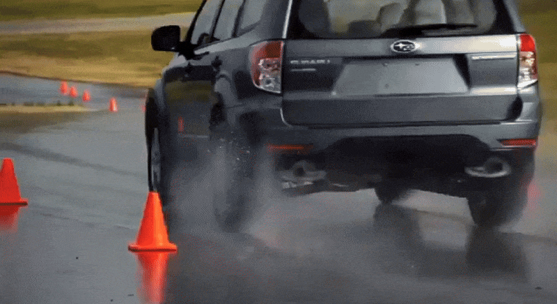 Forester Moose Test