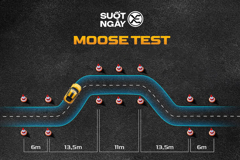 Moose Test Suotngayxe