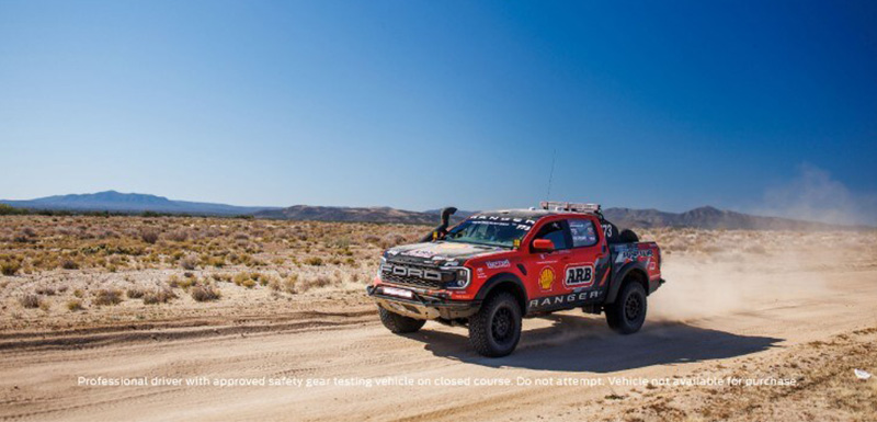 Raptor 01
