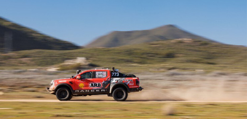 Raptor 03